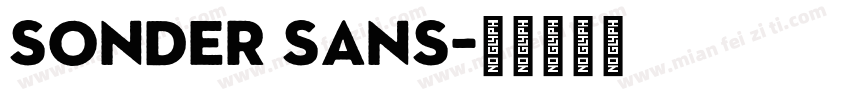 Sonder Sans字体转换